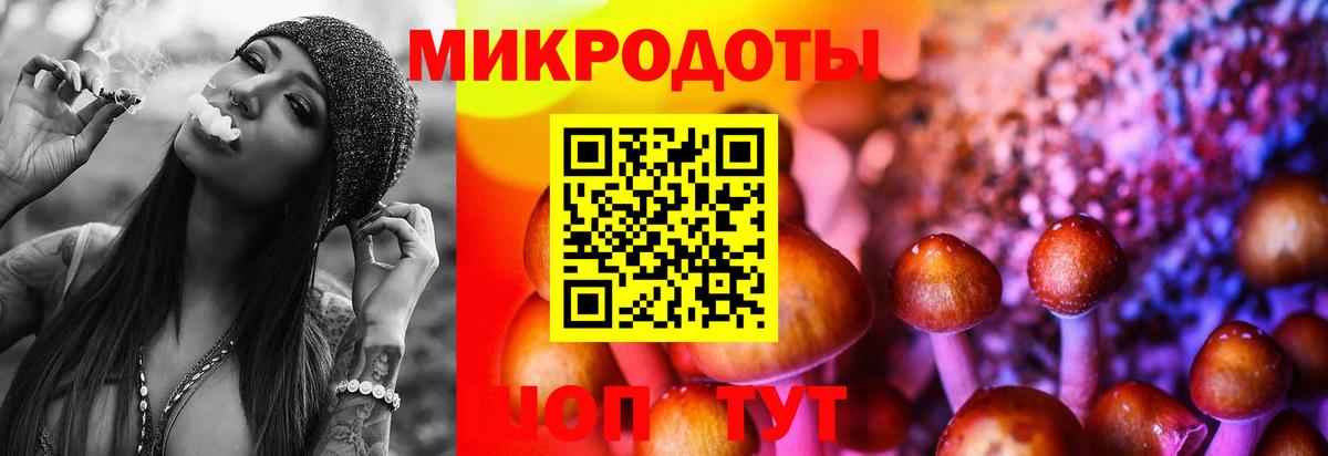 Псилоцибиновые грибы Cubensis  Вход с VPN  Среднеуральск  Псилоцибиновые грибы GOLDEN TEACHER 